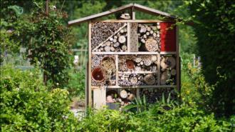 Abri et maison en Bois pour Insectes
